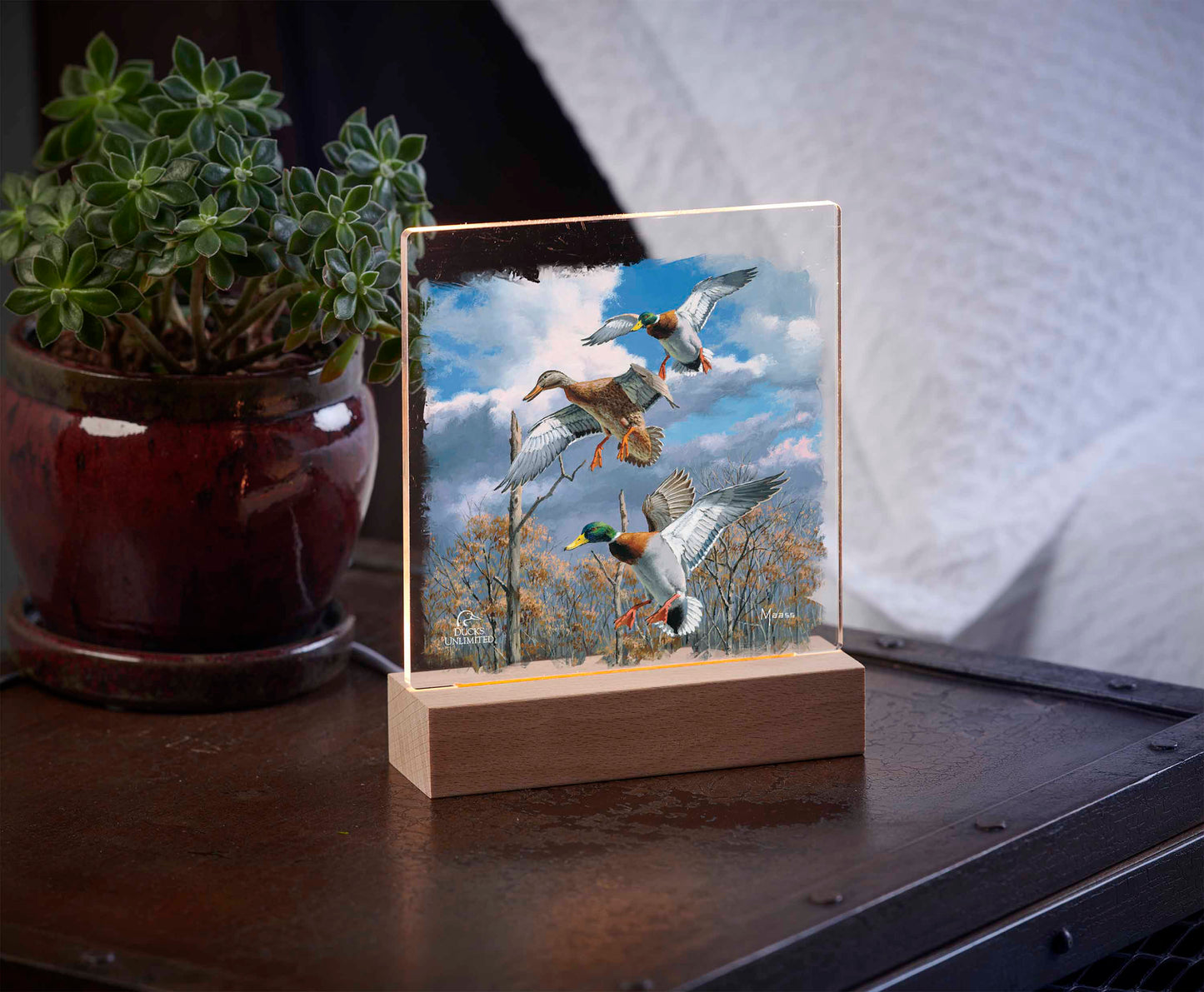 Descending Trio Mallards 6.37" x 6" Acrylic Nightlight - Official Ducks Unlimited Art
