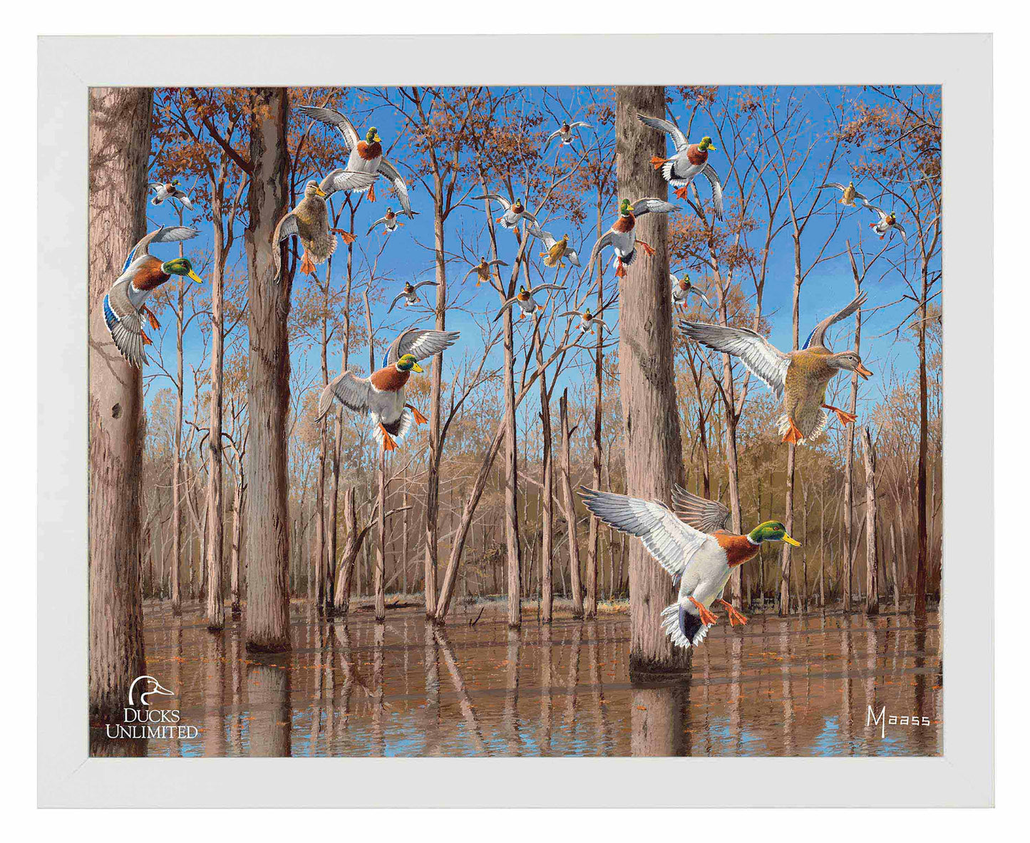Down from the North - Mallards Art Prints - Official Ducks Unlimited Art