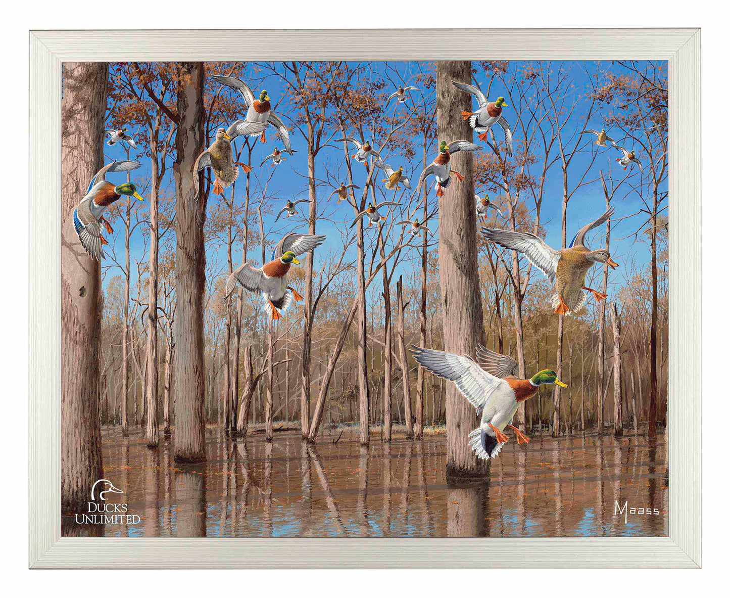 Down from the North - Mallards Art Prints - Official Ducks Unlimited Art