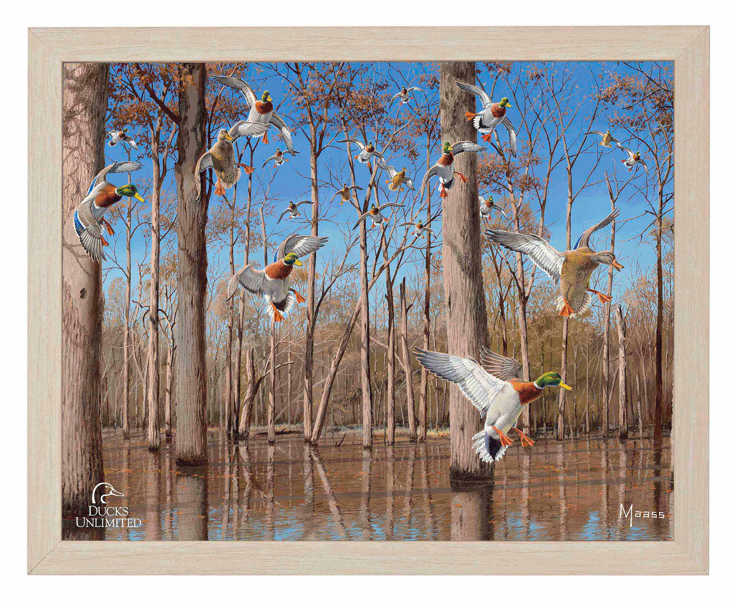 Down from the North - Mallards Art Prints - Official Ducks Unlimited Art
