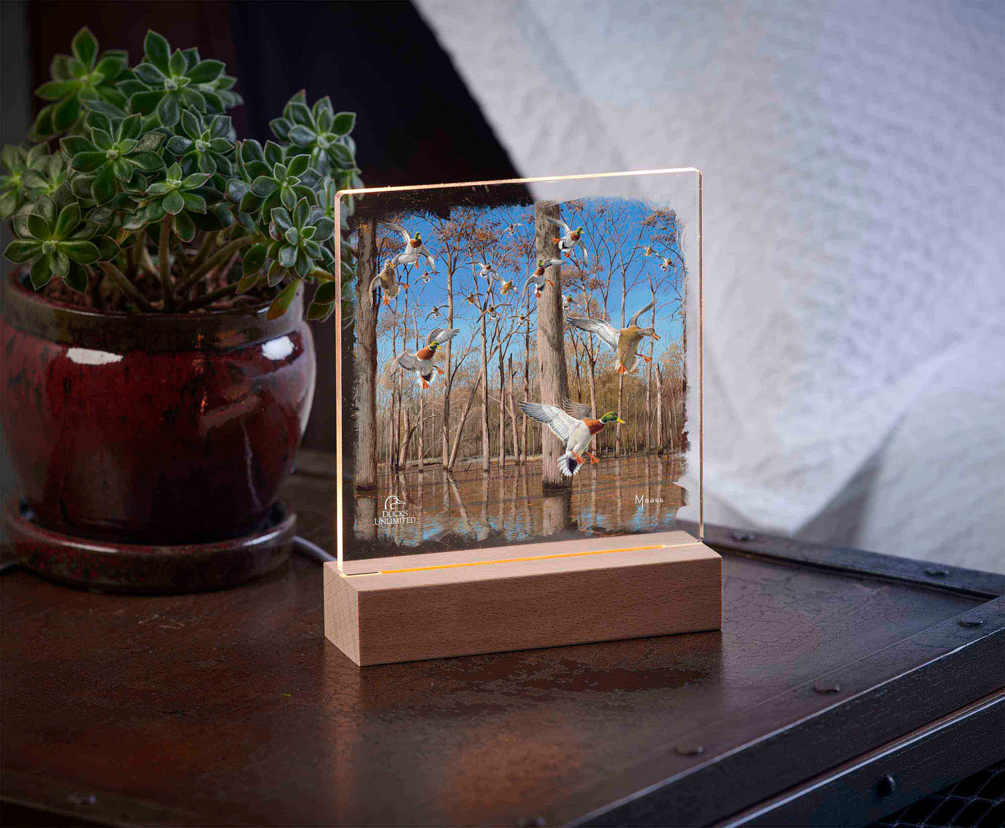 Down from the North - Mallards 6.37" x 6" Acrylic Night Light  - Official Ducks Unlimited Art