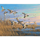 Dropping in Mallards Gallery Wrapped Canvas - Official Ducks Unlimited Art