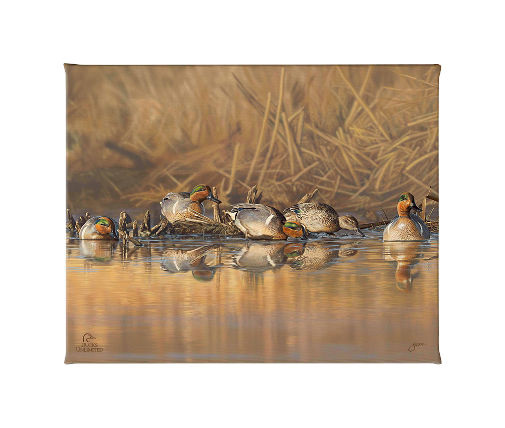 Emerald Waters Gallery Wrapped Canvas - Official Ducks Unlimited Art