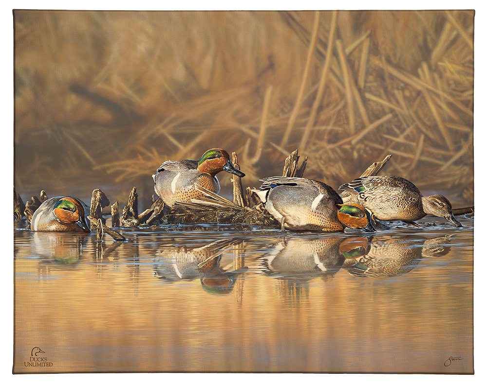 Emerald Waters Gallery Wrapped Canvas - Official Ducks Unlimited Art