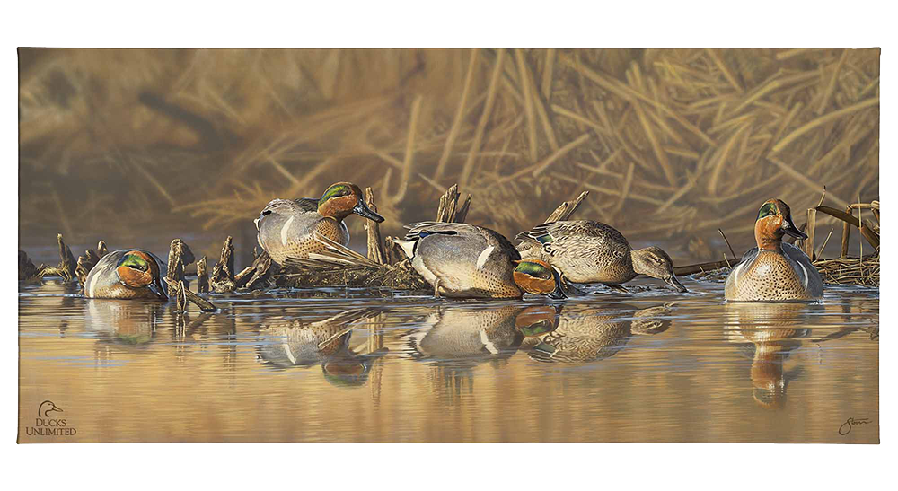 Emerald Waters Gallery Wrapped Canvas - Official Ducks Unlimited Art