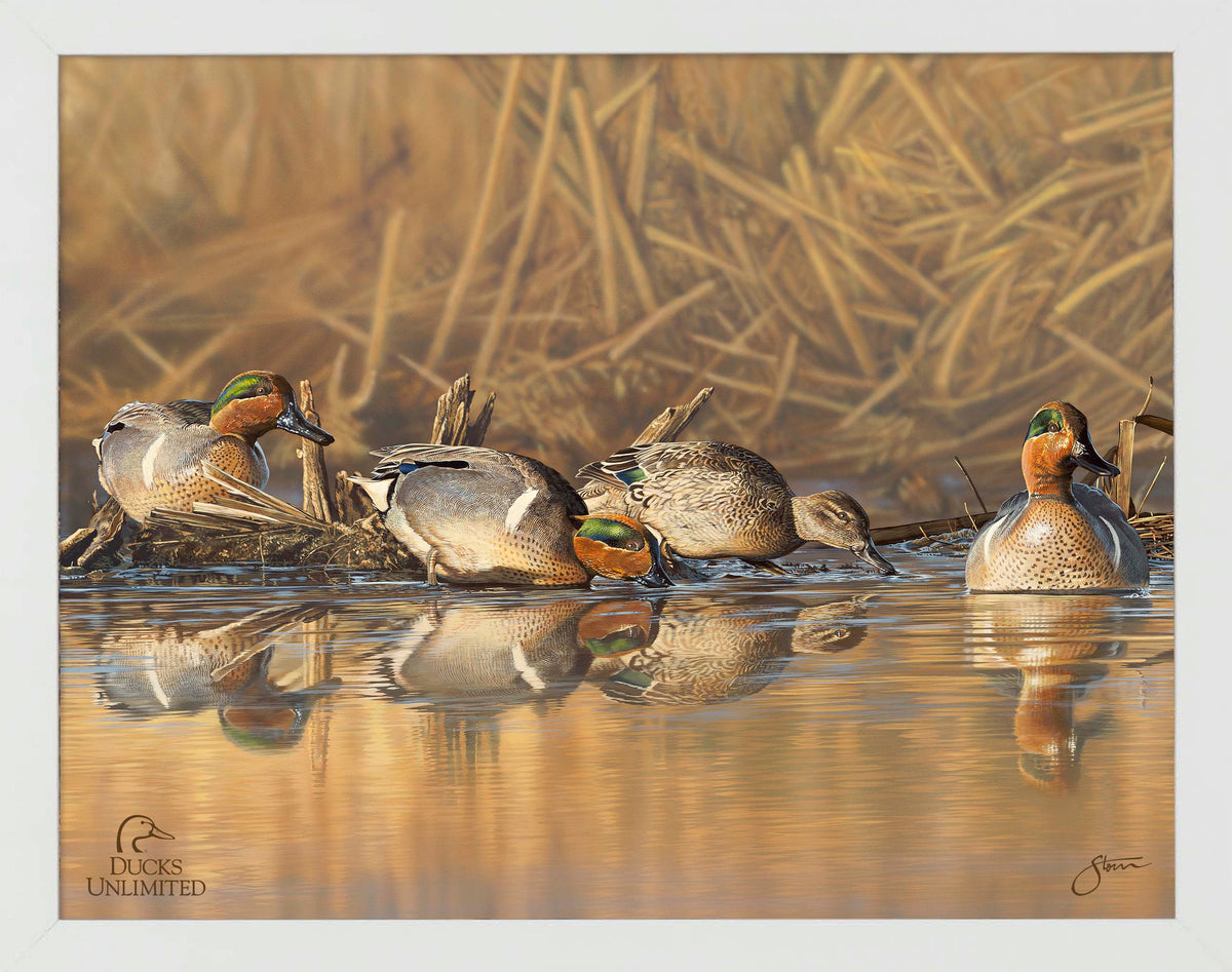 Emerald Waters Art Prints - Official Ducks Unlimited Art