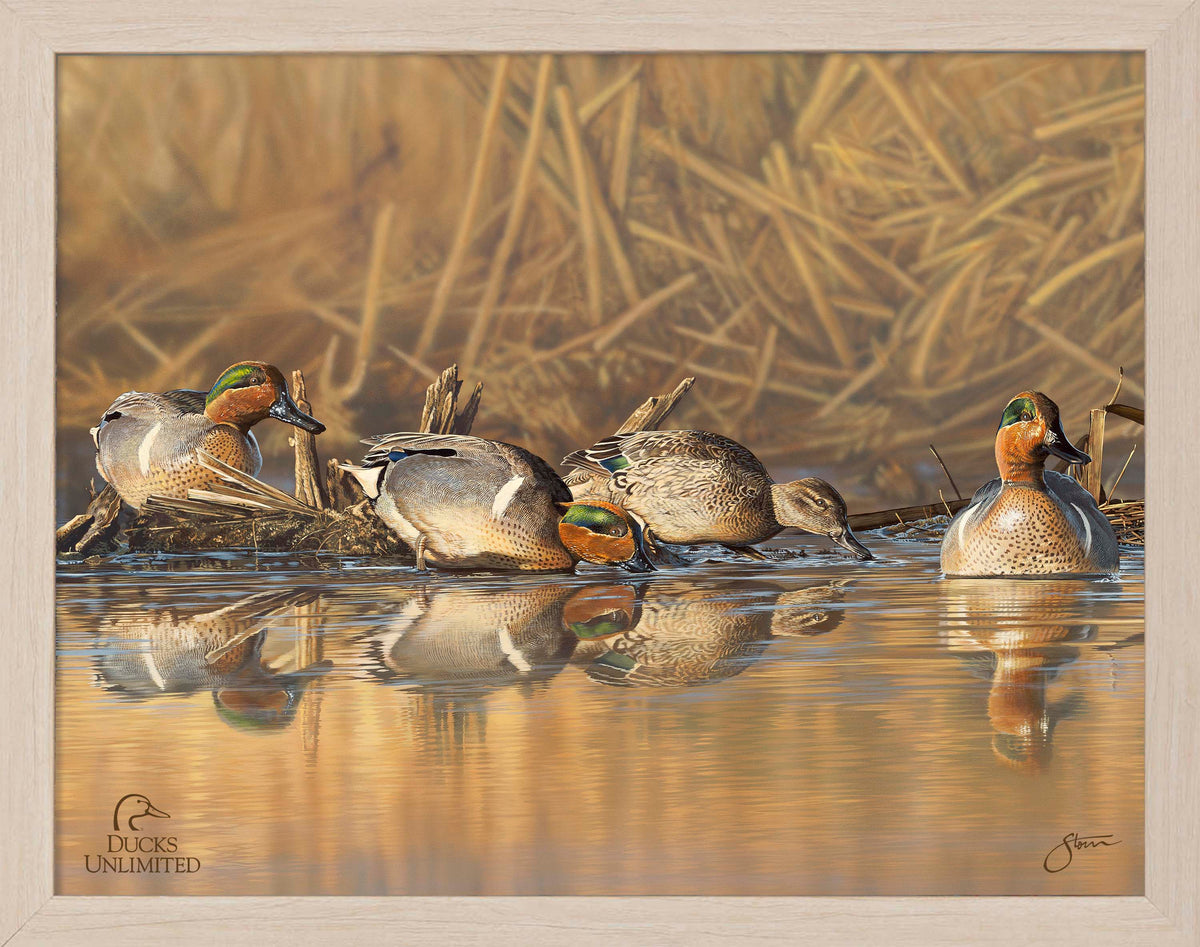 Emerald Waters Art Prints - Official Ducks Unlimited Art