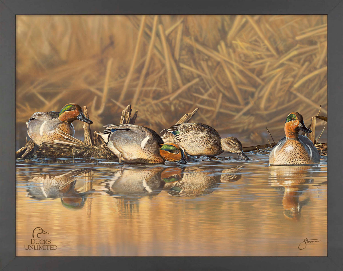 Emerald Waters Art Prints - Official Ducks Unlimited Art