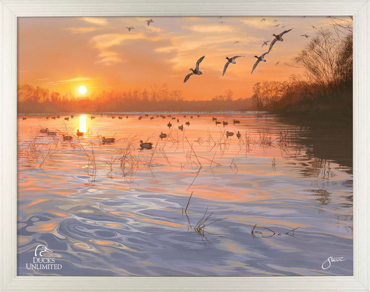 End of a Great Day Art Prints - Official Ducks Unlimited Art