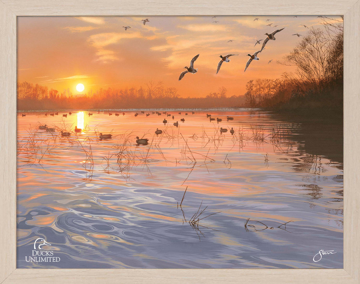 End of a Great Day Art Prints - Official Ducks Unlimited Art