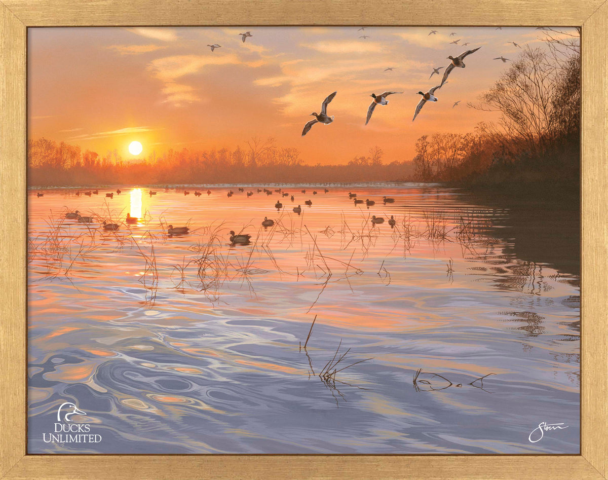End of a Great Day Art Prints - Official Ducks Unlimited Art