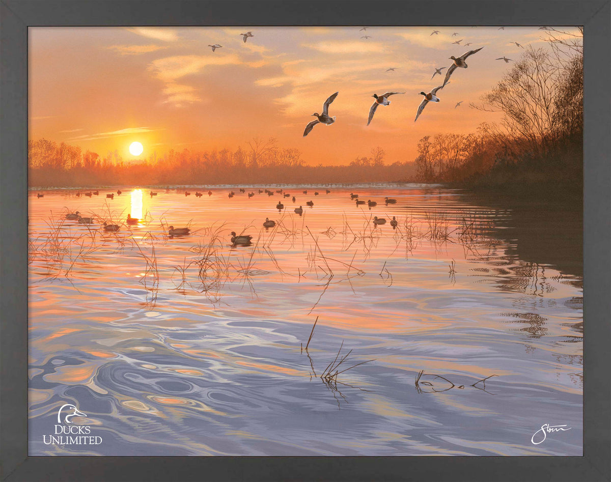 End of a Great Day Art Prints - Official Ducks Unlimited Art