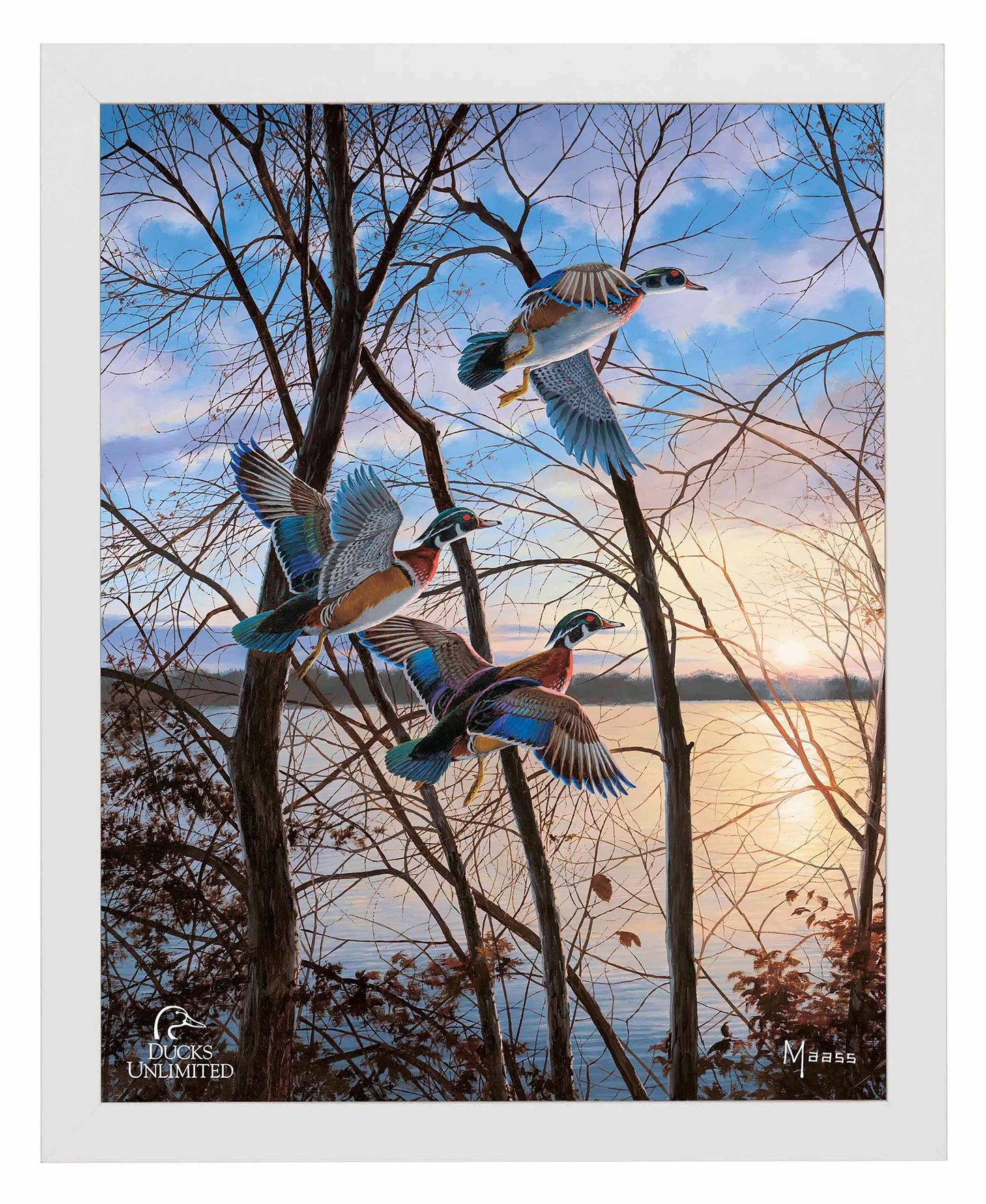 Evening Flight Wood Ducks Art Prints - Official Ducks Unlimited Art