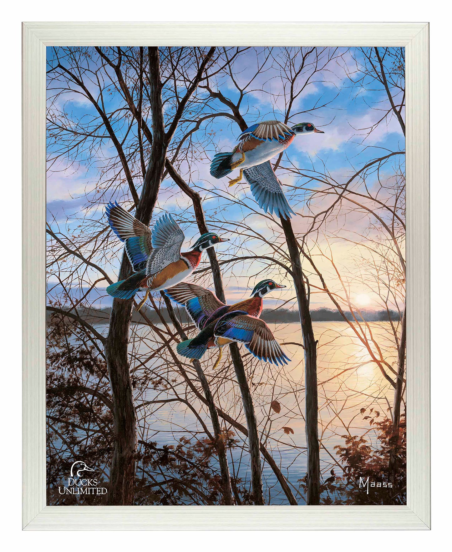 Evening Flight Wood Ducks Art Prints - Official Ducks Unlimited Art