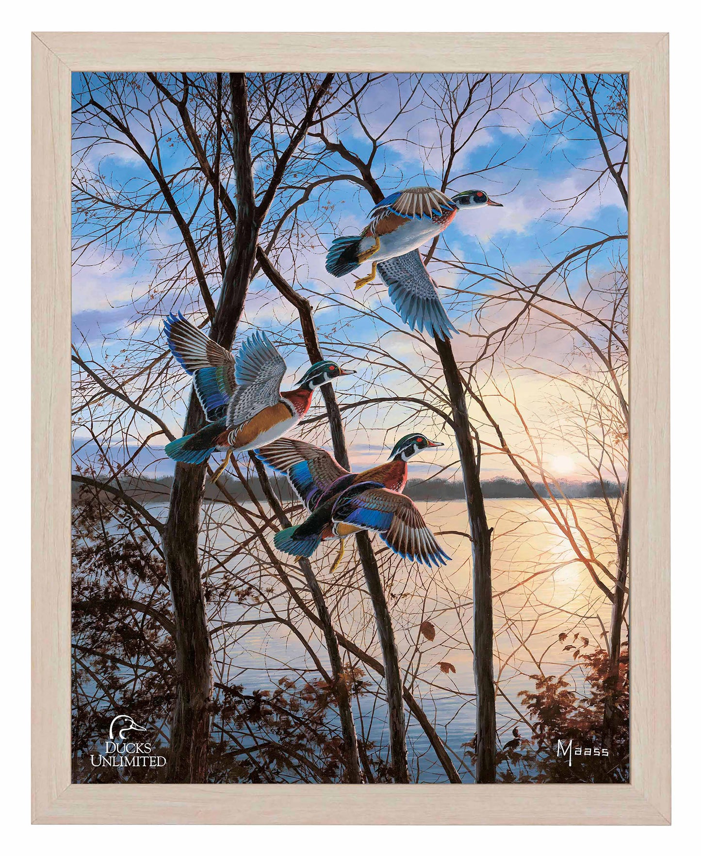 Evening Flight Wood Ducks Art Prints - Official Ducks Unlimited Art