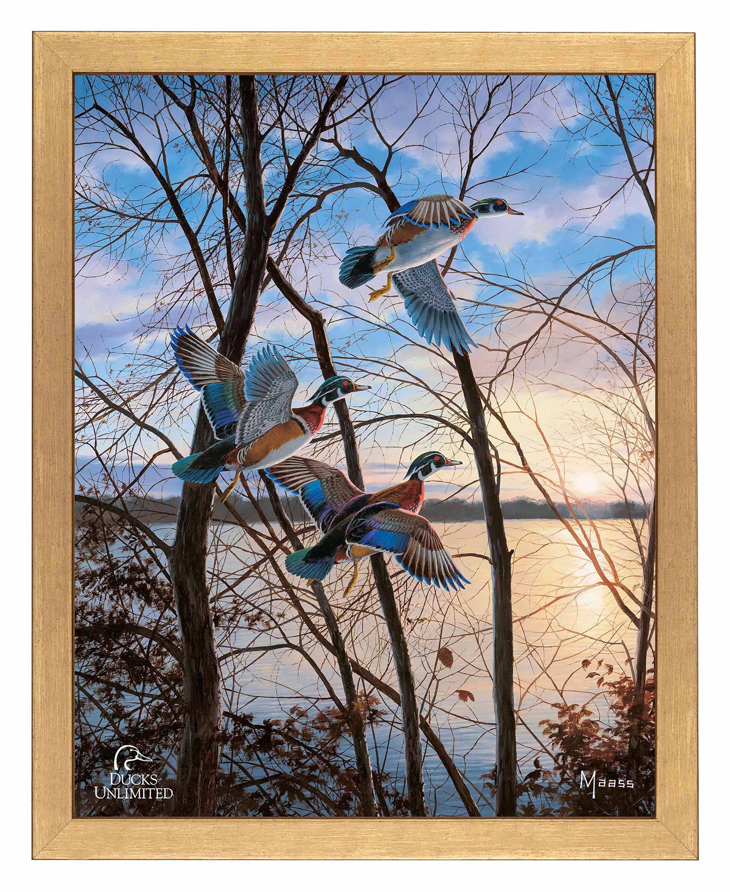 Evening Flight Wood Ducks Art Prints - Official Ducks Unlimited Art