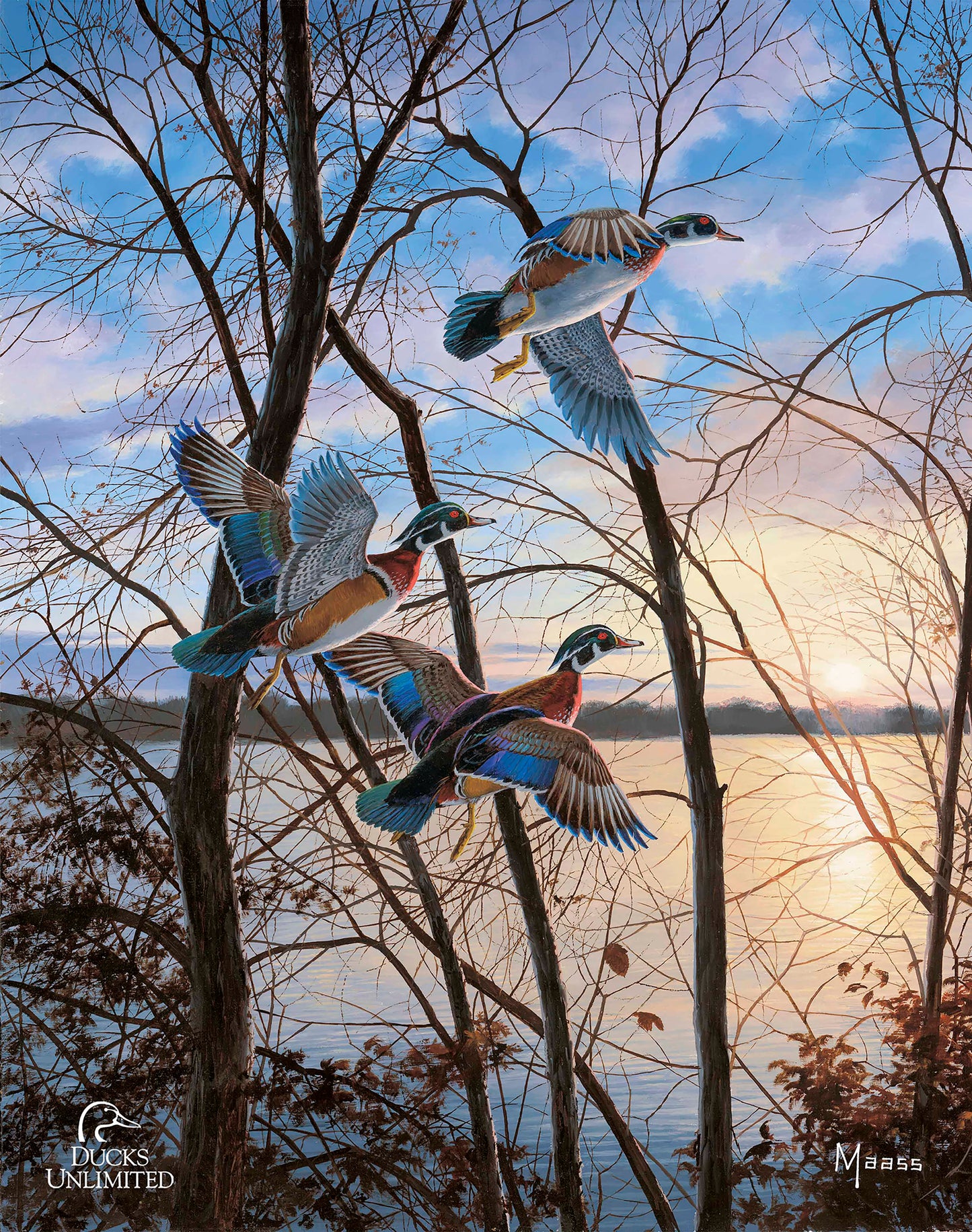 Evening Flight Wood Ducks Art Prints - Official Ducks Unlimited Art