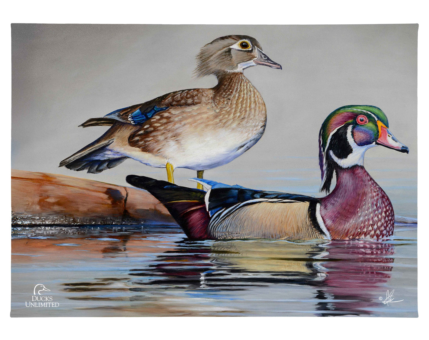 Foggy Day Woodies Gallery Wrapped Canvas - Official Ducks Unlimited Art