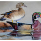 Foggy Day Woodies Gallery Wrapped Canvas - Official Ducks Unlimited Art