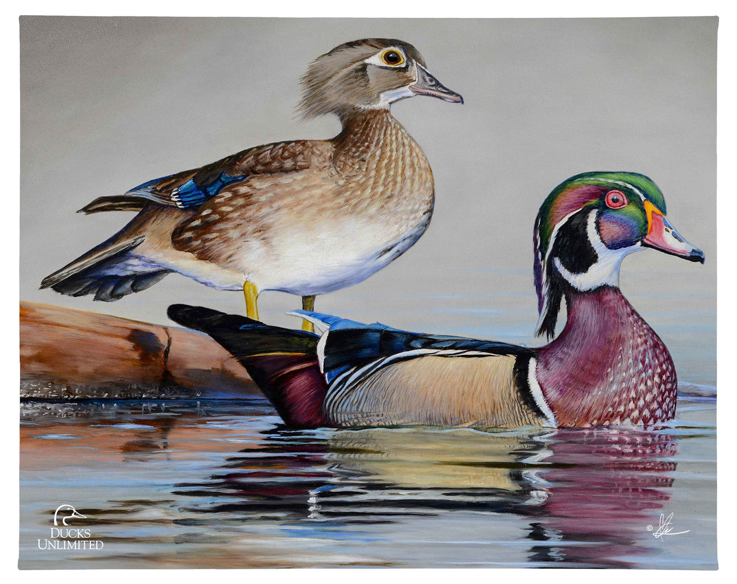 Foggy Day Woodies Gallery Wrapped Canvas - Official Ducks Unlimited Art