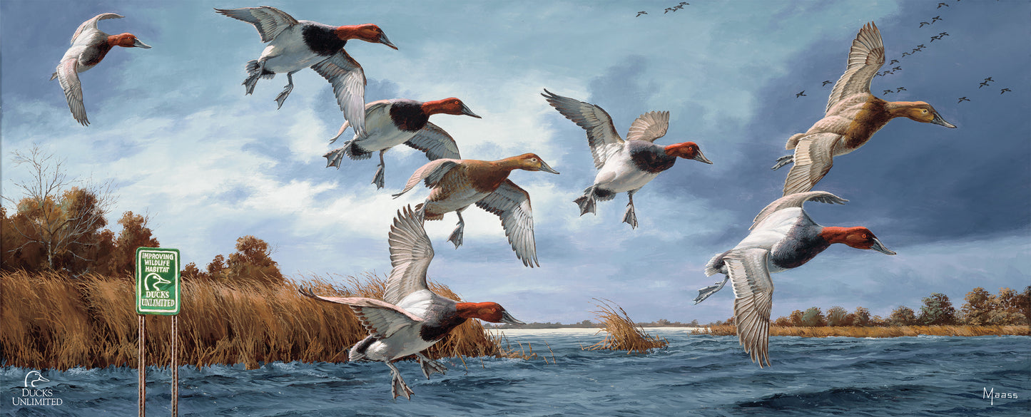 Fruits of Your Labor Canvasbacks 12" x 30" Wood Sign - Official Ducks Unlimited Art