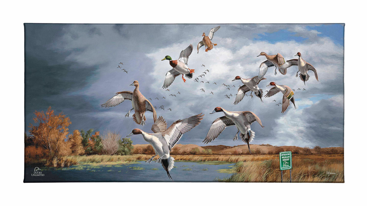 Fruits of Your Labor - Pintails and Mallards Gallery Wrapped Canvas - Official Ducks Unlimited Art
