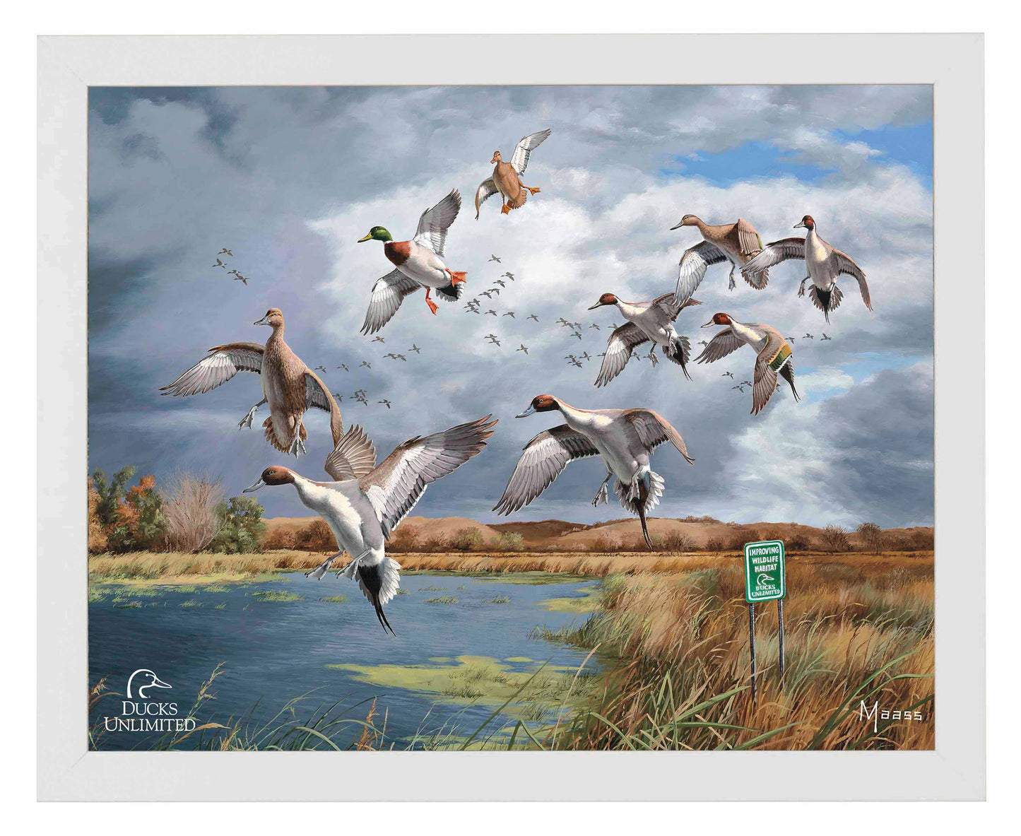 Fruits of Your Labor Pintails and Mallards Art Prints - Official Ducks Unlimited Art