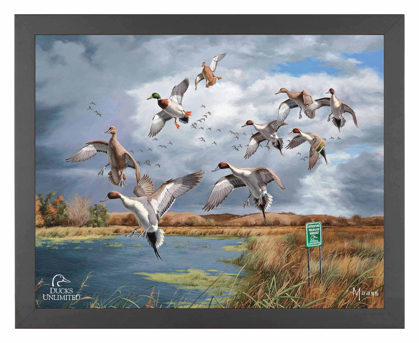 Fruits of Your Labor Pintails and Mallards Art Prints - Official Ducks Unlimited Art