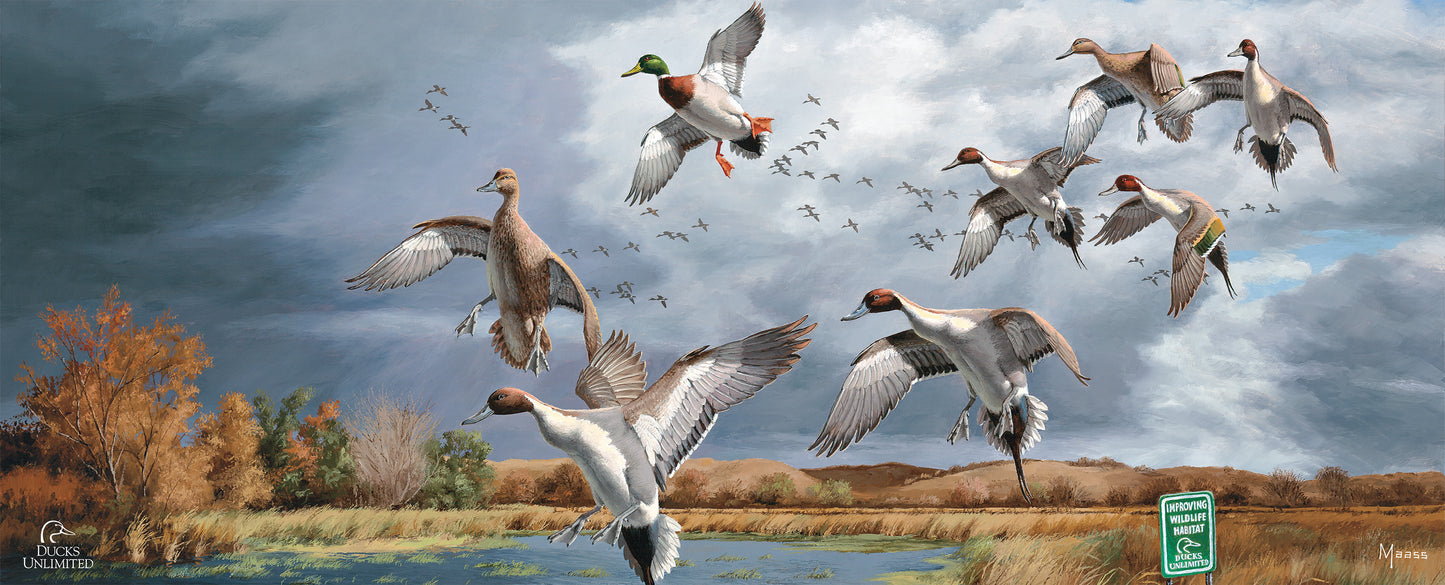 Fruits of Your Labor Pintails and Mallards 12" x 30" Wood Sign - Official Ducks Unlimited Art