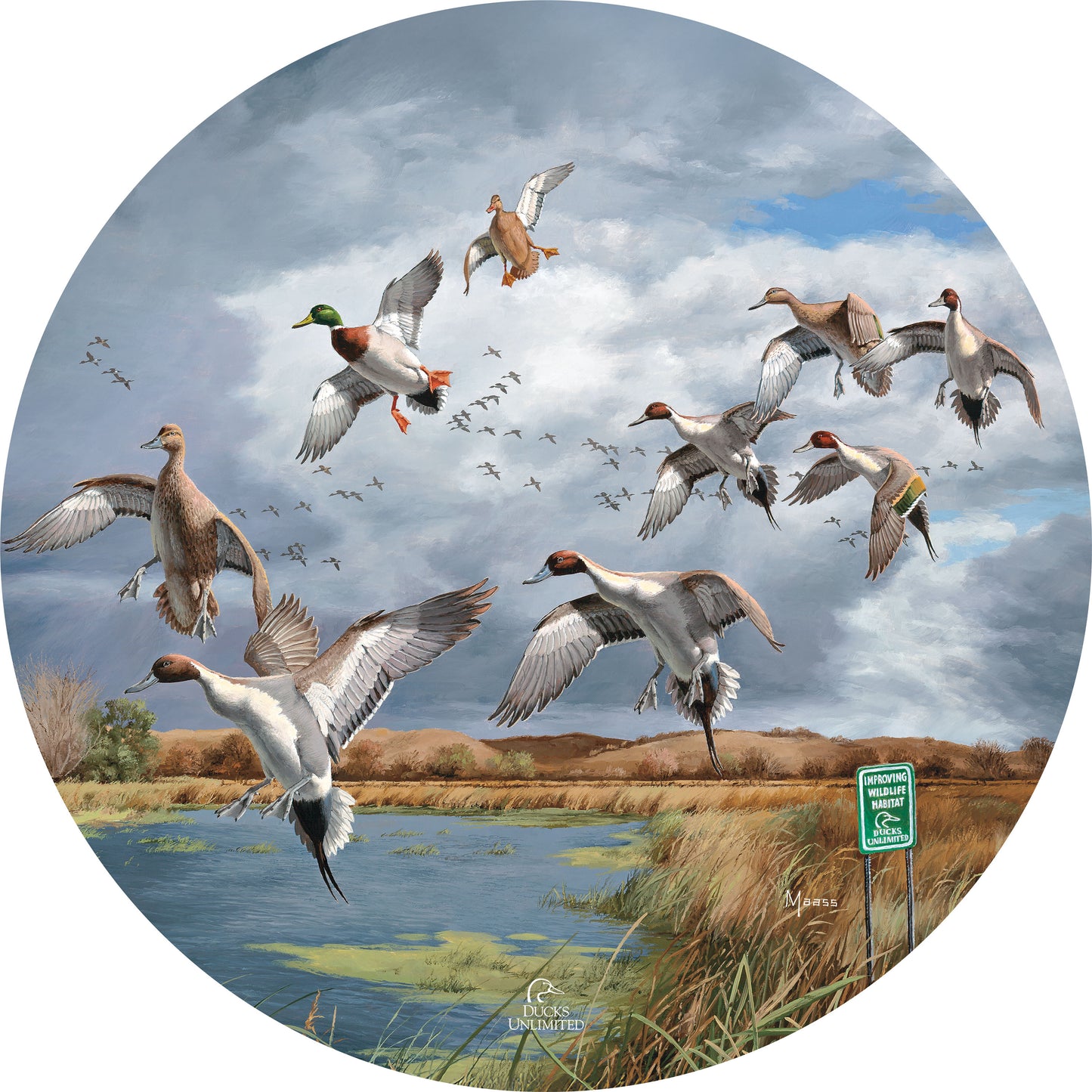 Fruits of Your Labor Pintails and Mallards 21" Round Wood Sign - Official Ducks Unlimited Art
