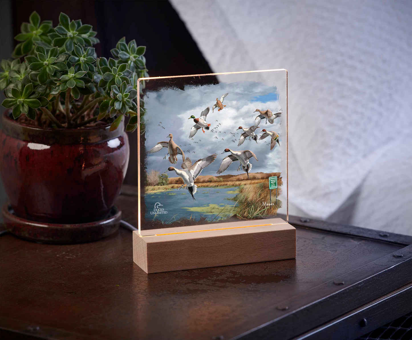 Fruits of Your Labor Pintails and Mallards 6.37" x 6" Acrylic Nightlight - Official Ducks Unlimited Art