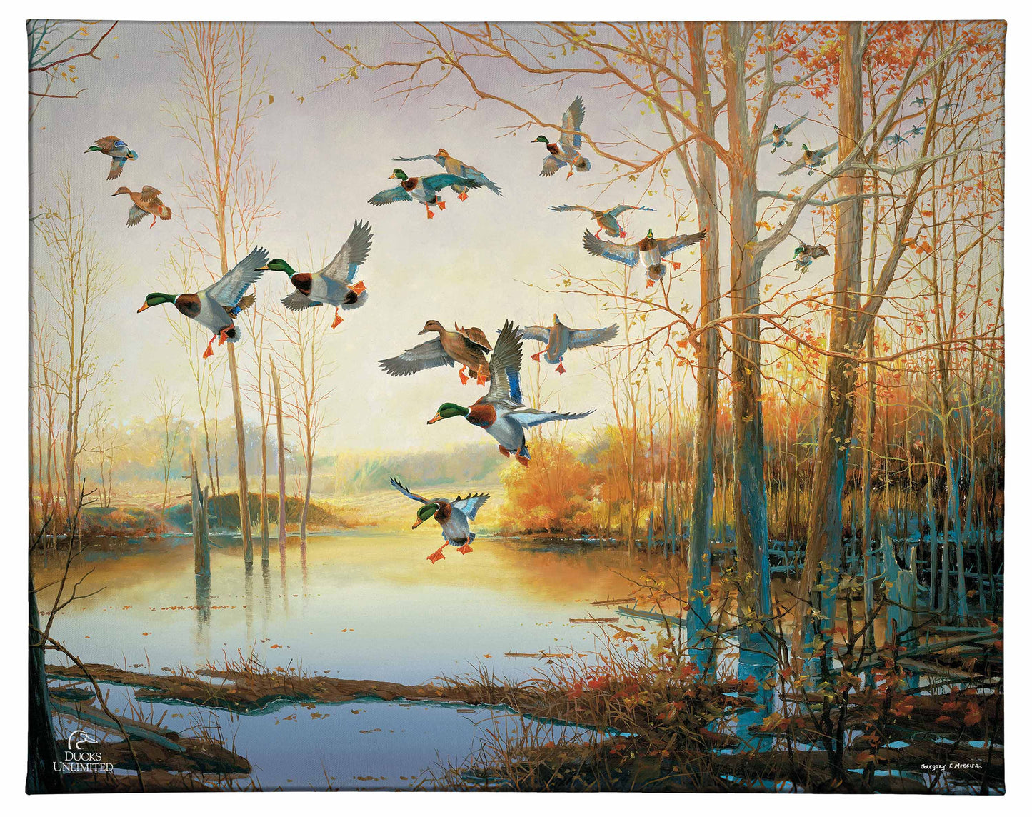 Graceful Descent Gallery Wrapped Canvas - Official Ducks Unlimited Art