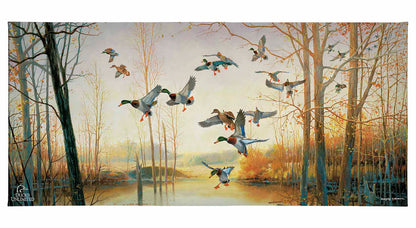Graceful Descent Gallery Wrapped Canvas - Official Ducks Unlimited Art