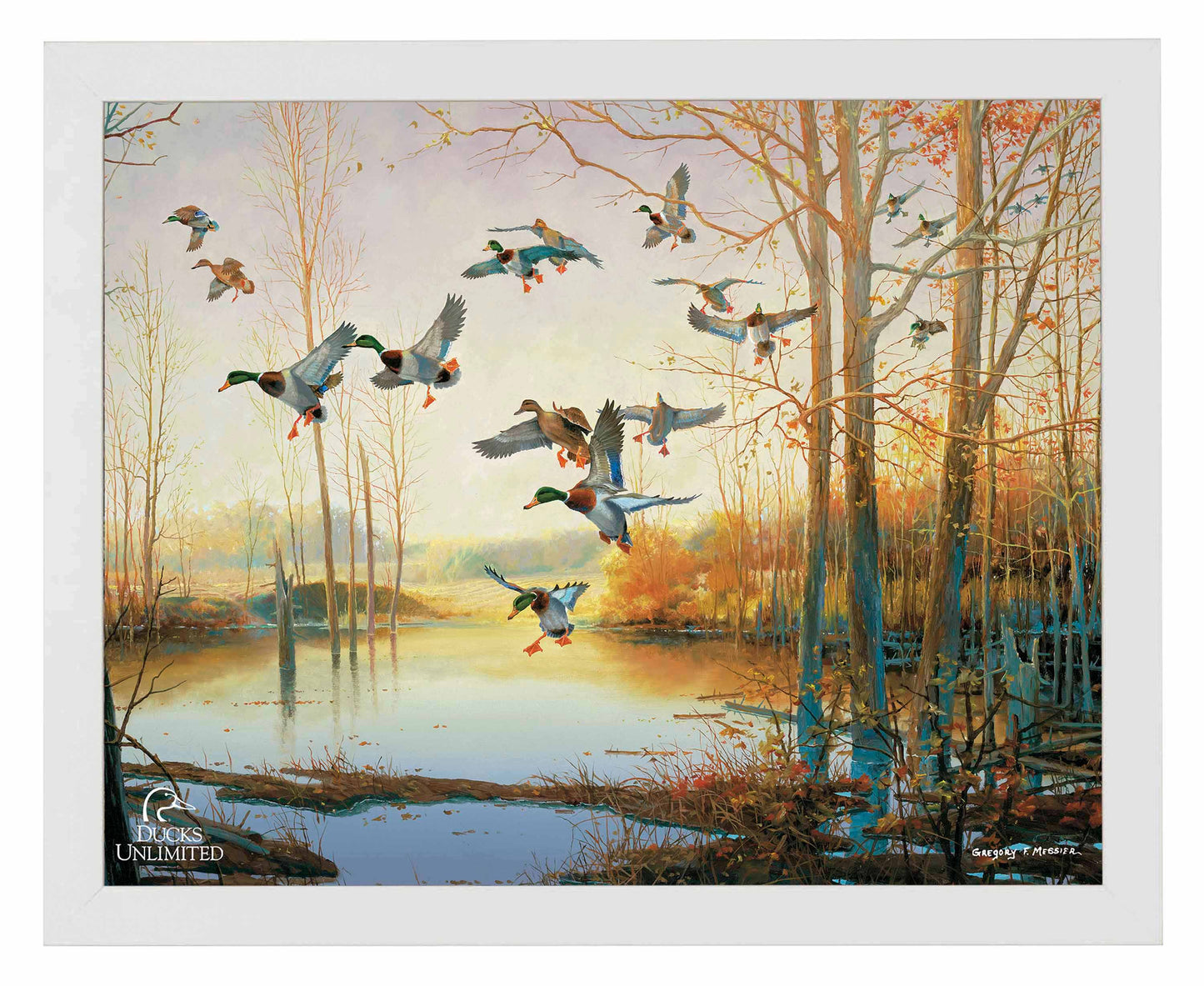 Graceful Descent Art Prints - Official Ducks Unlimited Art
