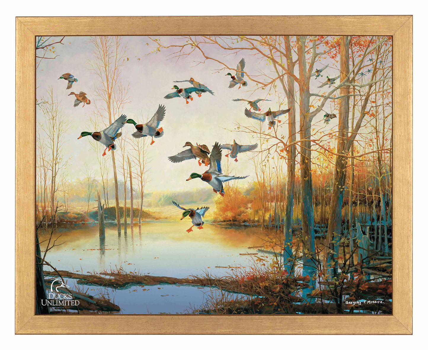 Graceful Descent Art Prints - Official Ducks Unlimited Art