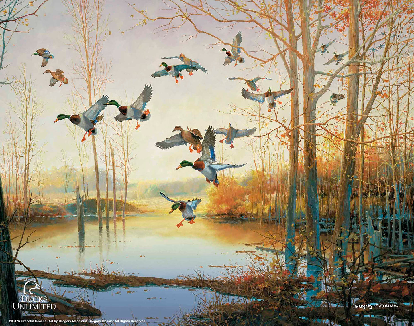 Graceful Descent Art Prints - Official Ducks Unlimited Art