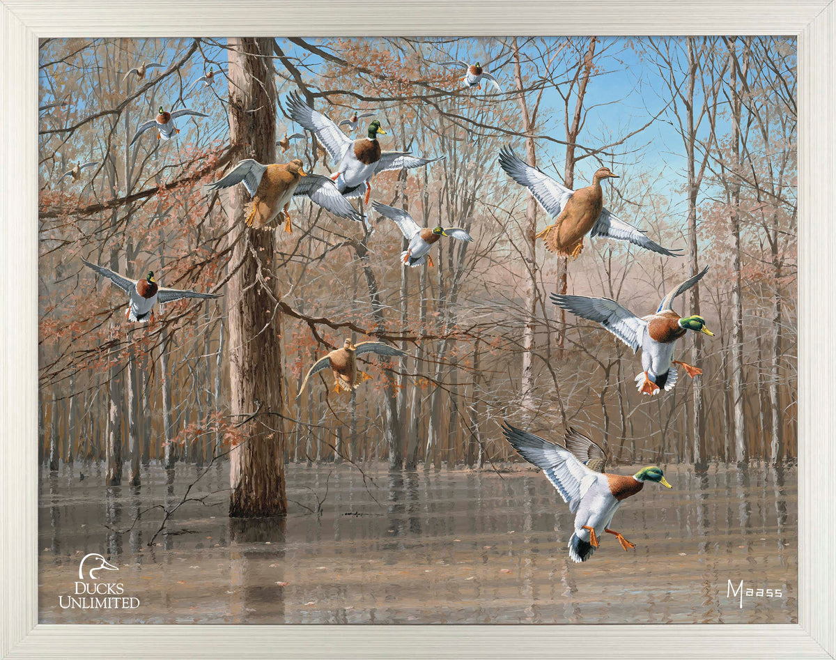 Green Timber Art Prints - Official Ducks Unlimited Art