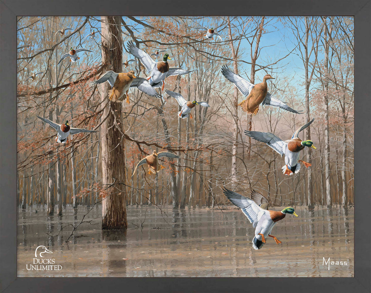 Green Timber Art Prints - Official Ducks Unlimited Art