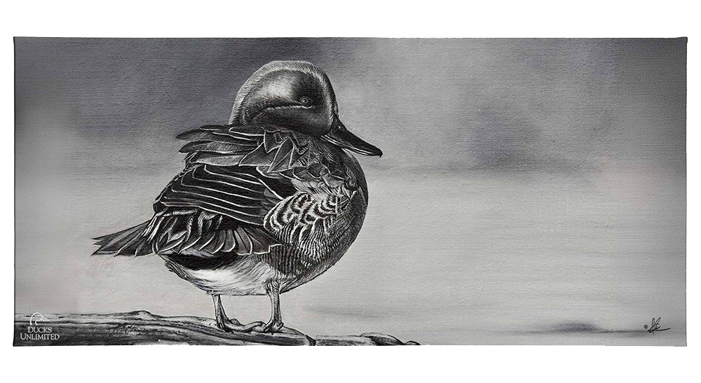Green Winged Study Gallery Wrapped Canvas - Official Ducks Unlimited Art