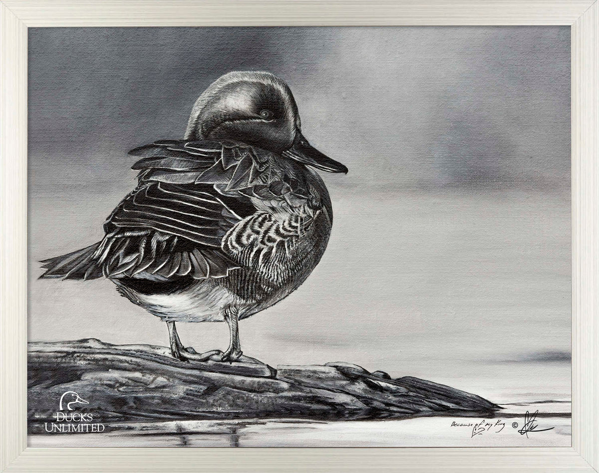 Green Winged Study Art Prints - Official Ducks Unlimited Art