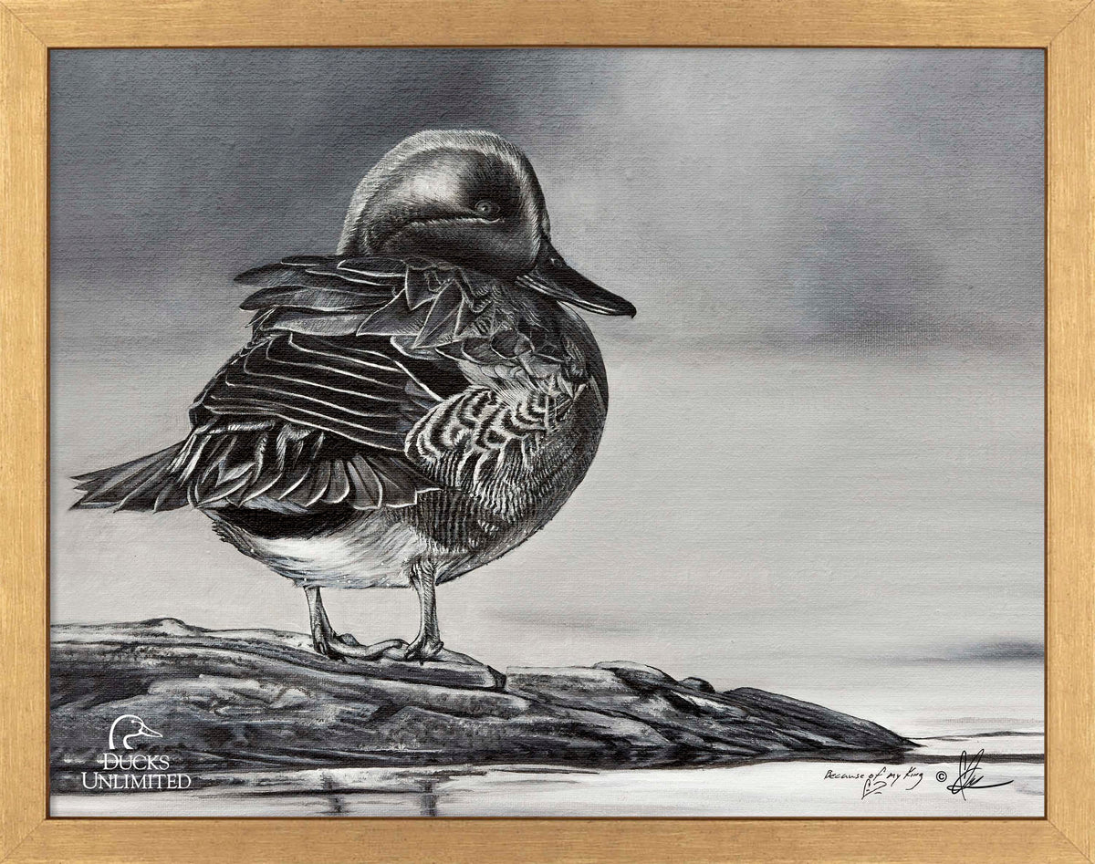 Green Winged Study Art Prints - Official Ducks Unlimited Art