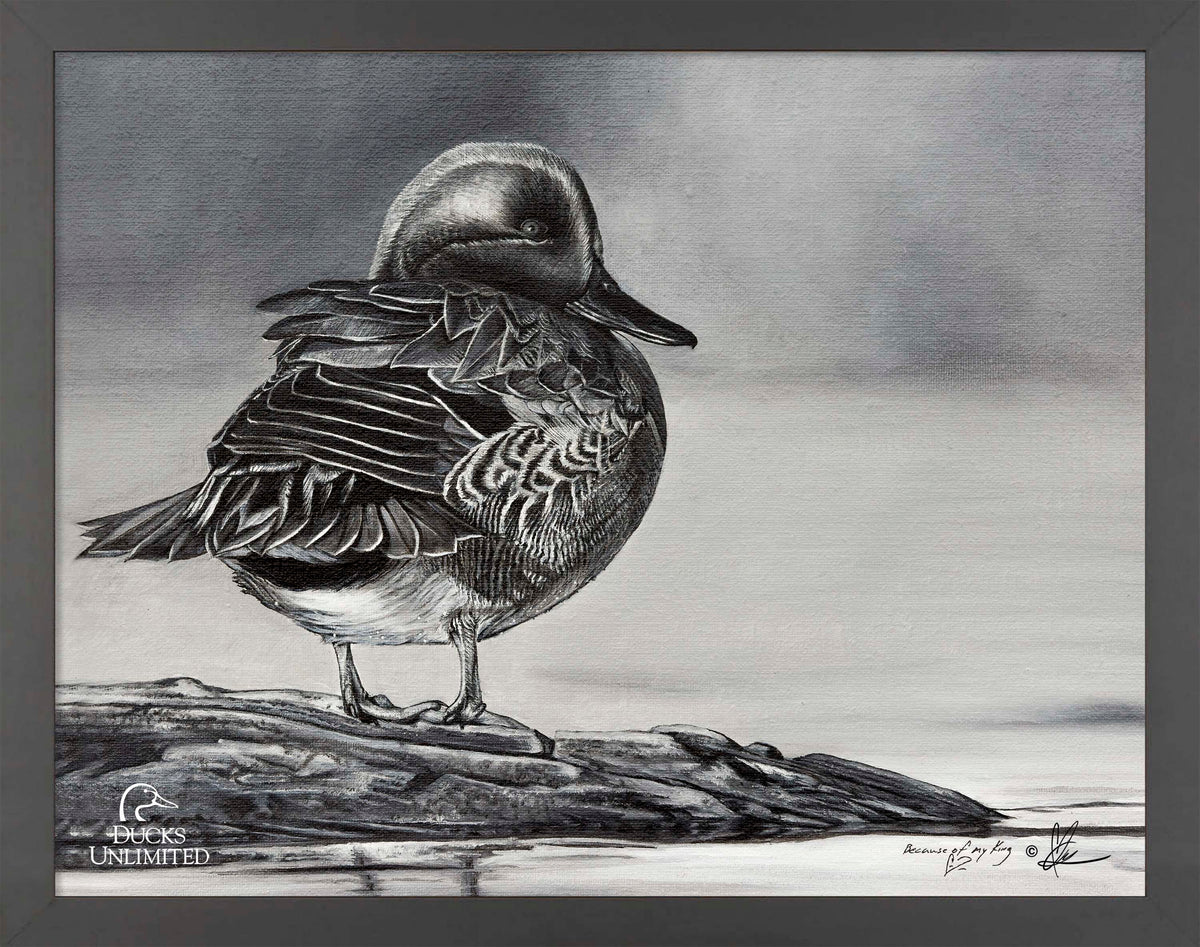 Green Winged Study Art Prints - Official Ducks Unlimited Art