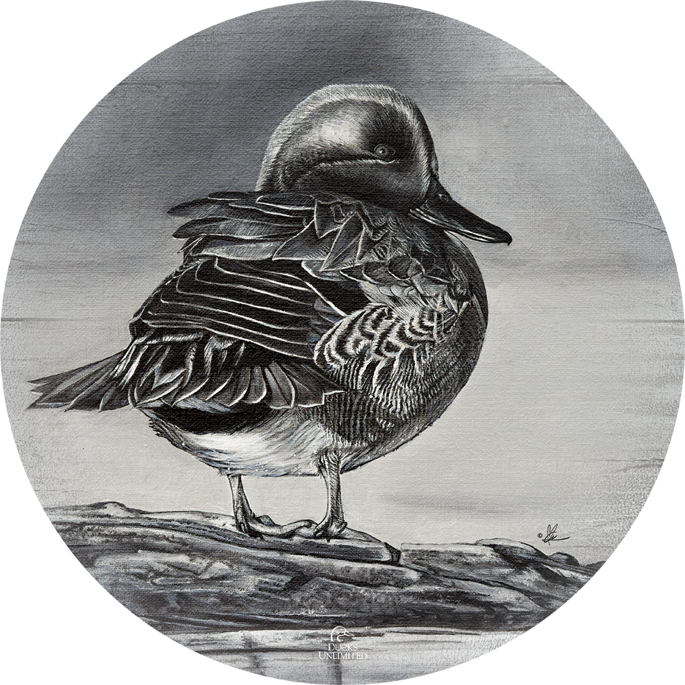 Green Winged Study 21" Round Wood Sign - Official Ducks Unlimited Art