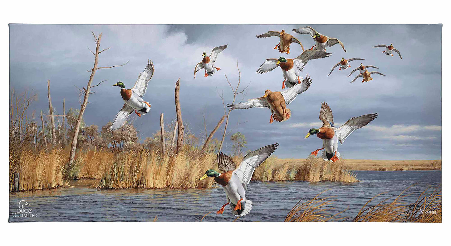 Greenhead Alert - Mallards Gallery Wrapped Canvas - Official Ducks Unlimited Art