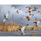 Greenhead Alert - Mallards Gallery Wrapped Canvas - Official Ducks Unlimited Art