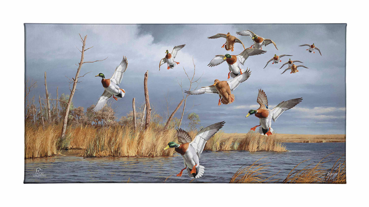 Greenhead Alert - Mallards Gallery Wrapped Canvas - Official Ducks Unlimited Art