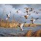 Greenhead Alert - Mallards Gallery Wrapped Canvas - Official Ducks Unlimited Art