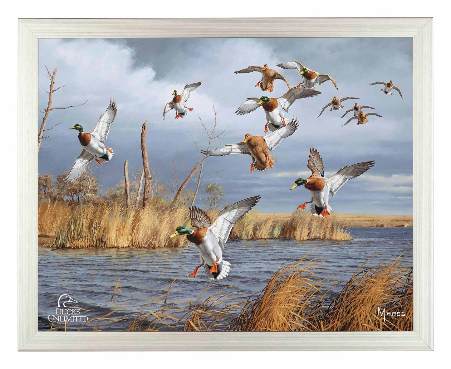 Greenhead Alert Mallards Art Prints - Official Ducks Unlimited Art