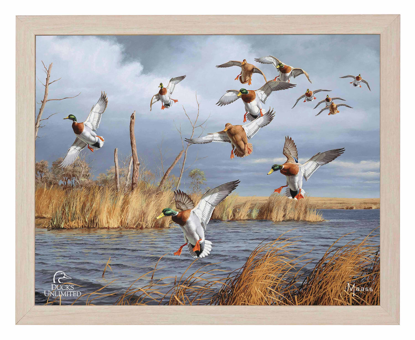 Greenhead Alert Mallards Art Prints - Official Ducks Unlimited Art