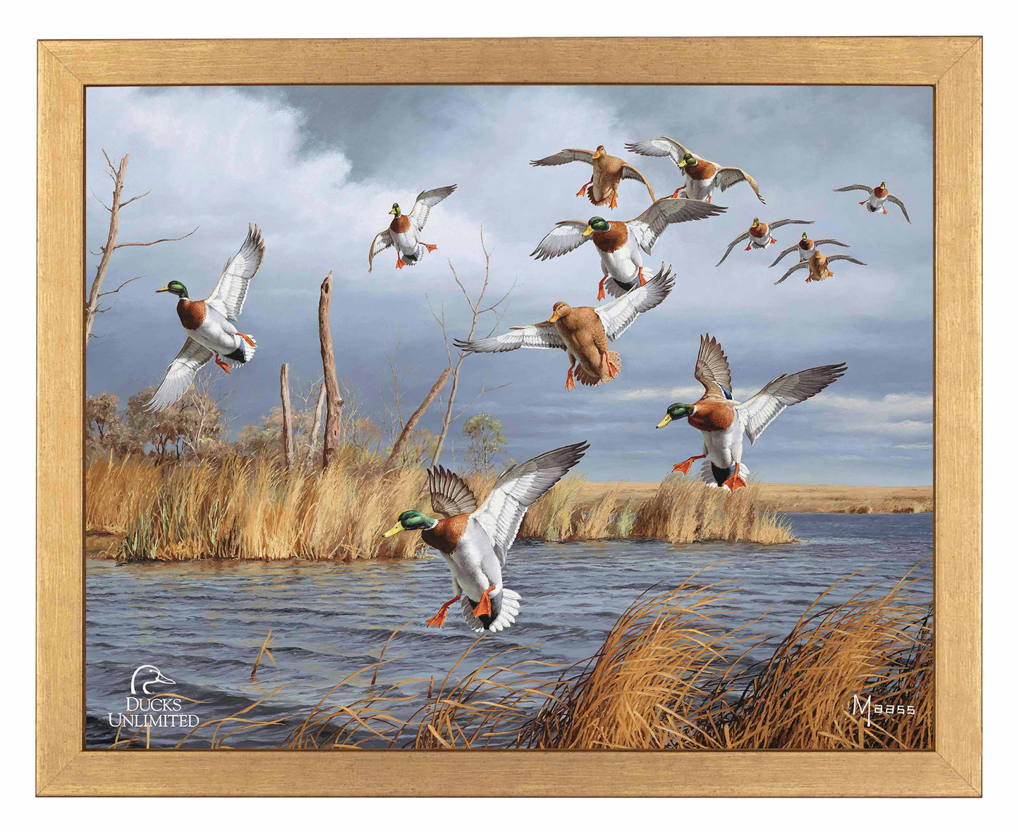 Greenhead Alert Mallards Art Prints - Official Ducks Unlimited Art
